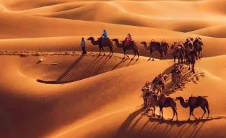 山东出发额济纳7日游：额济纳胡杨林-黑城怪树林-巴丹吉林-张掖丹霞-沙坡头色诱金秋双胡杨之旅-推荐