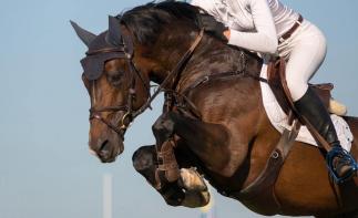 山东出发河北3日游：草原天路-民族文化演出-观马术表演3日草原自驾游-推荐