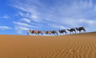 成都出发宁夏中卫6日自驾游：黄河宫-沙坡头-南泥湾-壶口瀑布6日自驾游-推荐