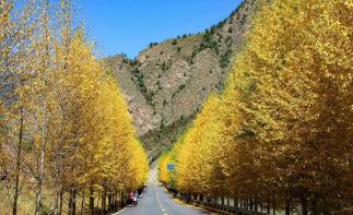 成都出发西北甘南6日自驾游：坎布拉地质公园-青海湖-祁连山-金秋彩林6日畅玩自驾游-推荐