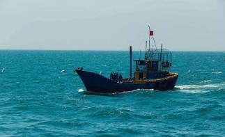 山东出发河北沧州2日游：0317火锅鸡-南大港湿地-黄骅打鱼舌尖上的诱惑休闲2日自驾游-推荐