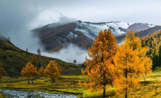 乌鲁木齐出发北疆8日落地自驾游：喀纳斯-禾木村-可可托海-五彩滩 八日自驾游-推荐