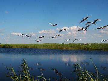 北京周边3日自驾游：河间府署-南大港湿地-周窝音乐小镇3日河北自驾游