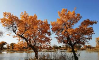 兰州集合西北甘肃阿拉善7日自驾游：金塔胡杨林-额济纳旗-七彩丹霞-嘉峪关-平山湖大峡谷7天自驾游-推荐