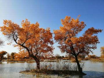兰州集合西北甘肃阿拉善7日自驾游：金塔胡杨林-额济纳旗-七彩丹霞-嘉峪关-平山湖大峡谷7天自驾游