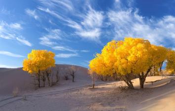 北京出发内蒙额济纳旗8日自驾游：胡杨林-黑水城-波浪谷8日西北自驾游-游推荐