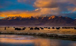 乌鲁木齐出发南疆8日落地自驾游：塔里木胡杨林-喀什-慕士塔雪峰-博斯腾湖8日落地自驾-推荐