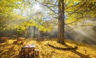 广东出发云南8天落地自驾游：和顺古镇-腾冲-南涧土林-无量山樱花谷8天休闲自驾游-推荐