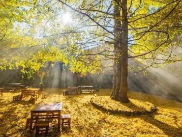 广东出发云南8天落地自驾游：和顺古镇-腾冲-南涧土林-无量山樱花谷8天休闲自驾游