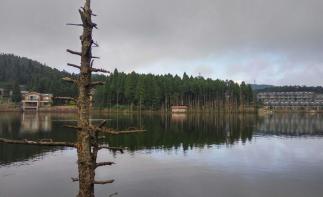 广东出发江西5日自驾游：明月山-羊狮幕-新余仙女湖-千年吉州窑5天高品质自驾游-推荐