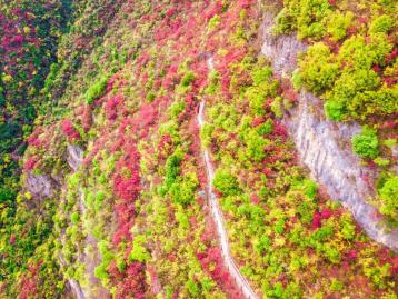 长沙出发重庆宜昌4日自驾游：宜昌三峡大坝-巫山小三峡-神女天路红叶4日自驾游