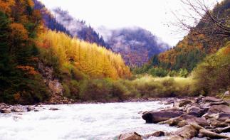 成都出发阿坝奶子沟2日自驾游：羊绒哈德-奶子沟-鹧鸪山2日自驾游-推荐