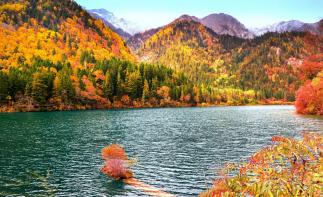 全国出发川西9天自驾游：米亚罗-毕棚沟-丹巴藏寨-金川红叶谷9天川西休闲自驾游-推荐