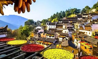 南昌出发婺源2日自驾游：篁岭晒秋-李坑-江湾古镇2日赏秋自驾-推荐