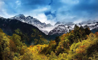 四川成都2日周边自驾游；二郎山喇叭河，赏尽红叶2日雅安自驾游-推荐