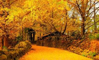 北京出发云南落地10日自驾：腾冲-瑞丽-芒市-昆明10日自驾-推荐