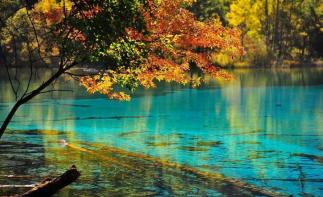 重庆出发九寨沟4日自驾游：秋冬童话人间天堂九寨沟-瑶池黄龙环线4日自驾游-推荐