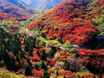 北京出发河北山东8日自驾：石头村、西柏坡、白鹿温泉、王硇村8日自驾