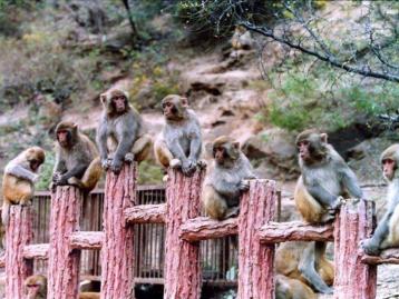 北京出发山西5日自驾：陈家沟，五龙口，皇城相府，平遥古城5日自驾