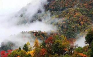 西安出发2日陕西周边自驾游：青峰峡+尚境温泉2日周末休闲自驾游-推荐