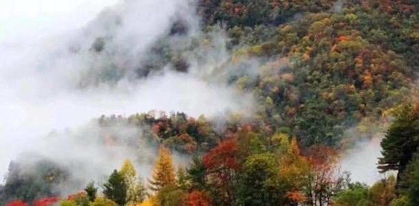 西安出发2日陕西周边自驾游：青峰峡+尚境温泉2日周末休闲自驾游-大自驾网