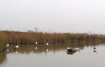 北京出发江苏6日自驾游：美龄宫-秦淮河-总统府-穹窿山6日自驾游-游推荐
