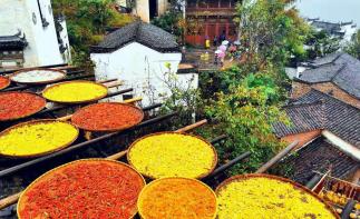 南昌集合江西安徽5日自驾游：婺源-篁岭-黄山-景德镇5日赏秋之旅-推荐