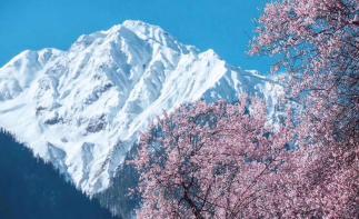 江西南昌出发西藏17日自驾游：G318川藏线-林芝桃花节-G109青藏线天路自驾-推荐