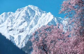 江西南昌出发西藏17日自驾游：G318川藏线-林芝桃花节-G109青藏线天路自驾-游推荐