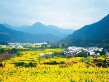 北京出发安徽8日自驾游：西海-瑶里古镇-石城-婺源油菜花8日自驾游