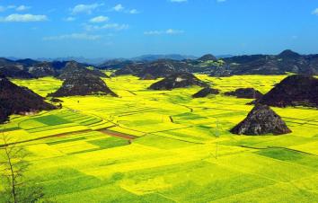 重庆出发贵州4日自驾游：罗平油菜花-苟坝度假别院4日自驾之旅-游推荐