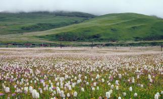 成都出发川藏线包车游：川藏318-泸定桥-姊妹湖-天路72拐-然乌湖-拉萨9日游-推荐