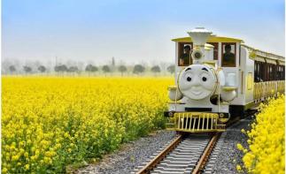 山东出发兰陵2日游：兰陵农业公园-压油沟最美山村休闲2日游-推荐