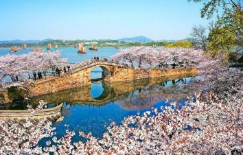 山东出发江南赏花4日游 ：兴化跺田花海-鼋头渚赏樱花-拈花湾禅意小镇4日自驾游-游推荐