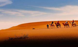 山东出发西北宁夏7日自驾游：腾格里沙漠-镇北堡西部影城--水洞沟藏兵洞7日西北自驾游-推荐