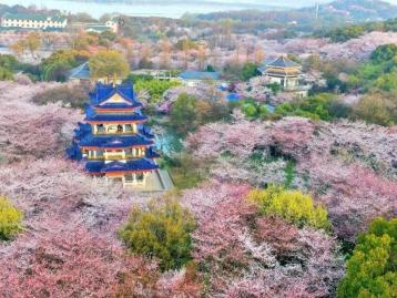  山东出发江苏扬州5日自驾游：李中水上森林-荷兰花海-瘦西湖-拈花湾5日自驾江南
