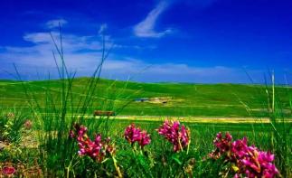 山东出发内蒙乌拉盖草原6日自驾游：野狼谷-布林泉-九曲湾-玉龙沙湖-北戴河6日草原自驾游-推荐