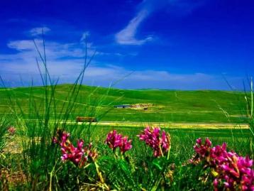 山东出发内蒙乌拉盖草原6日自驾游：野狼谷-布林泉-九曲湾-玉龙沙湖-北戴河6日草原自驾游