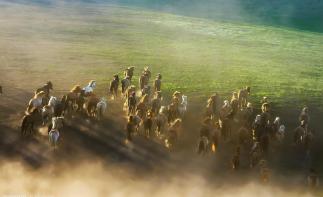 山东出发内蒙古12日自驾游：呼伦贝尔-锡林郭勒-阿尔山-满洲里-五大连池12日草原自驾游-推荐