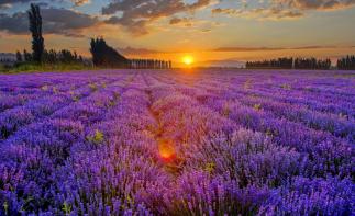 乌鲁木齐起止伊犁8日落地自驾：S101公路-独库公路-伊昭公路-赛里木湖-喀拉峻大草原8日游-推荐