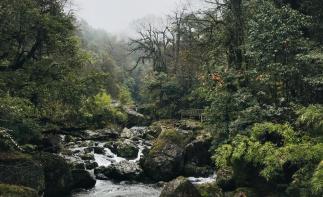 成都周边2日自驾游：龙苍沟赏花-探秘千年砂器2日周末自驾游-推荐