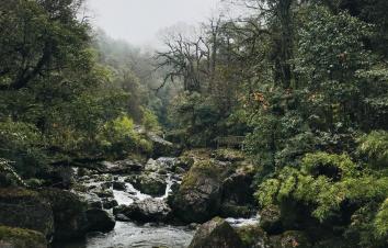 成都周边2日自驾游：龙苍沟赏花-探秘千年砂器2日周末自驾游-游推荐