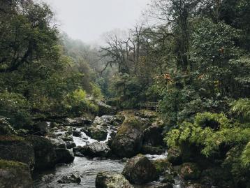 成都周边2日自驾游：龙苍沟赏花-探秘千年砂器2日周末自驾游
