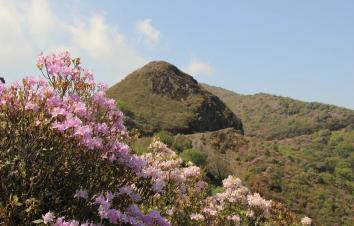 成都周边4日自驾游：邛海-马湖-大凉山赏索玛花4日自驾游-游推荐