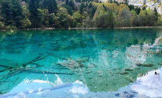 成都出发九寨4日自驾：九寨沟-甘海子-黄龙瑶池-松州古城4日自驾-推荐