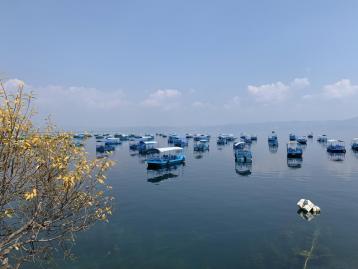 重庆出发云南7日自驾游：普者黑荷塘月色-抚仙湖高原明珠-芳华拍摄地蒙自7日自驾