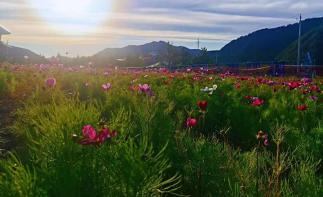 北京出发内蒙3日自驾游：美林谷-蒙古王城-沙地小镇3日自驾游-推荐