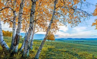 山东出发中蒙俄朝边境22日自驾游：乌拉盖-阿尔山-北极-满洲里-漠河-穿越两极英雄会22日自驾游-推荐