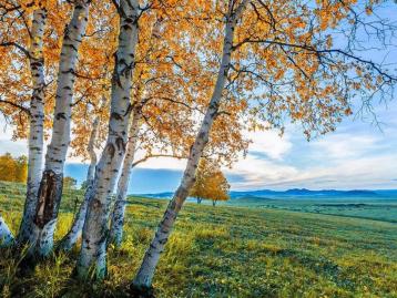 山东出发中蒙俄朝边境22日自驾游：乌拉盖-阿尔山-北极-满洲里-漠河-穿越两极英雄会22日自驾游