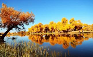 山东出发2020额济纳胡杨林7日国庆自驾游：额济纳黑水城-怪树林-巴丹吉林-张掖丹霞-沙坡头7日游-推荐